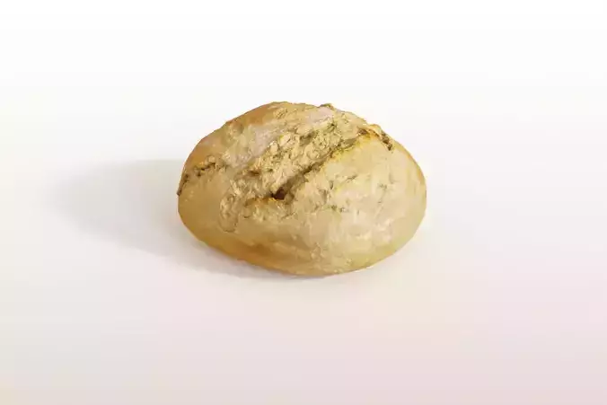 Classic Roll photoscanned