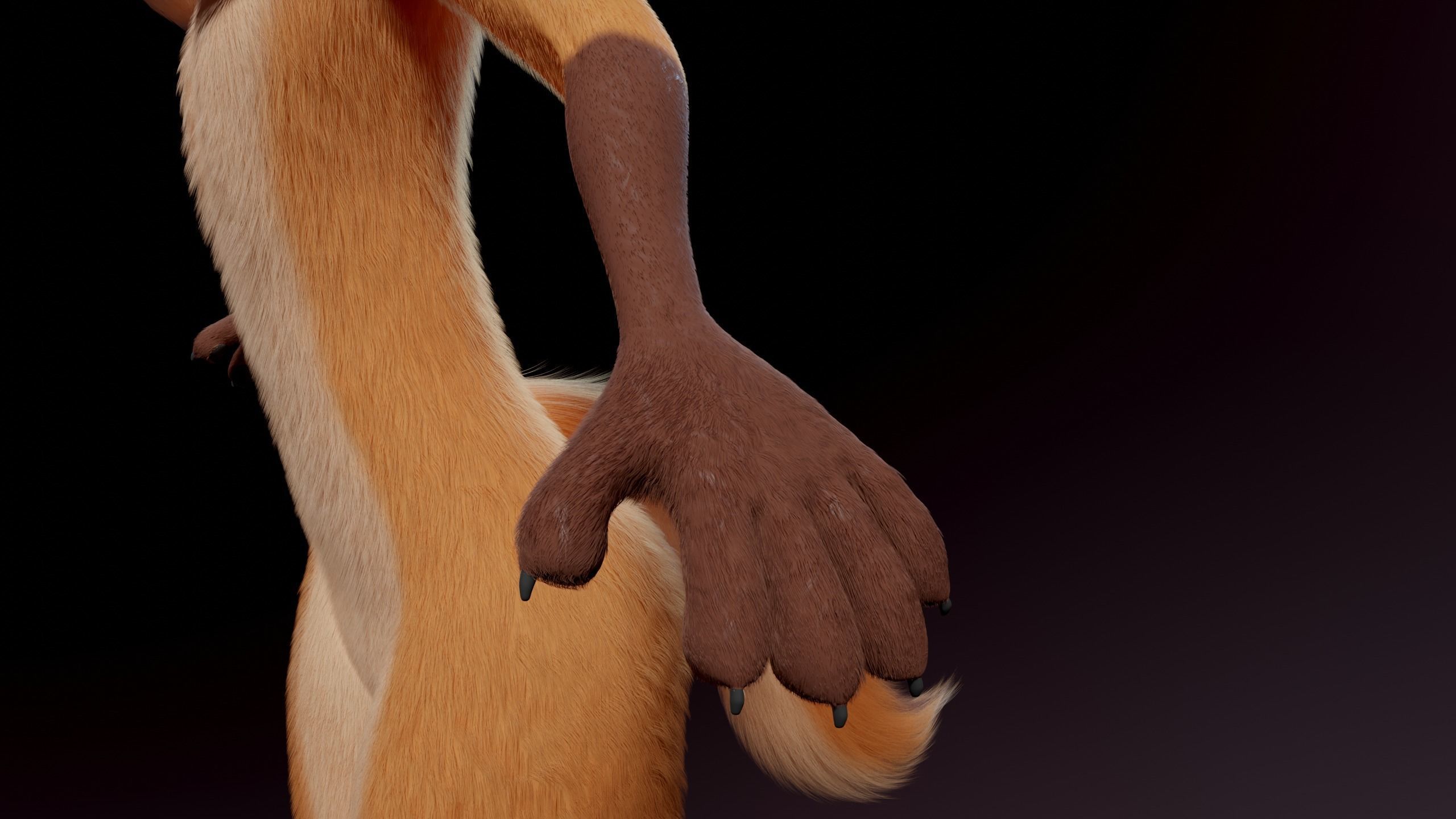 Agnes Anthro Fox 3D model_12