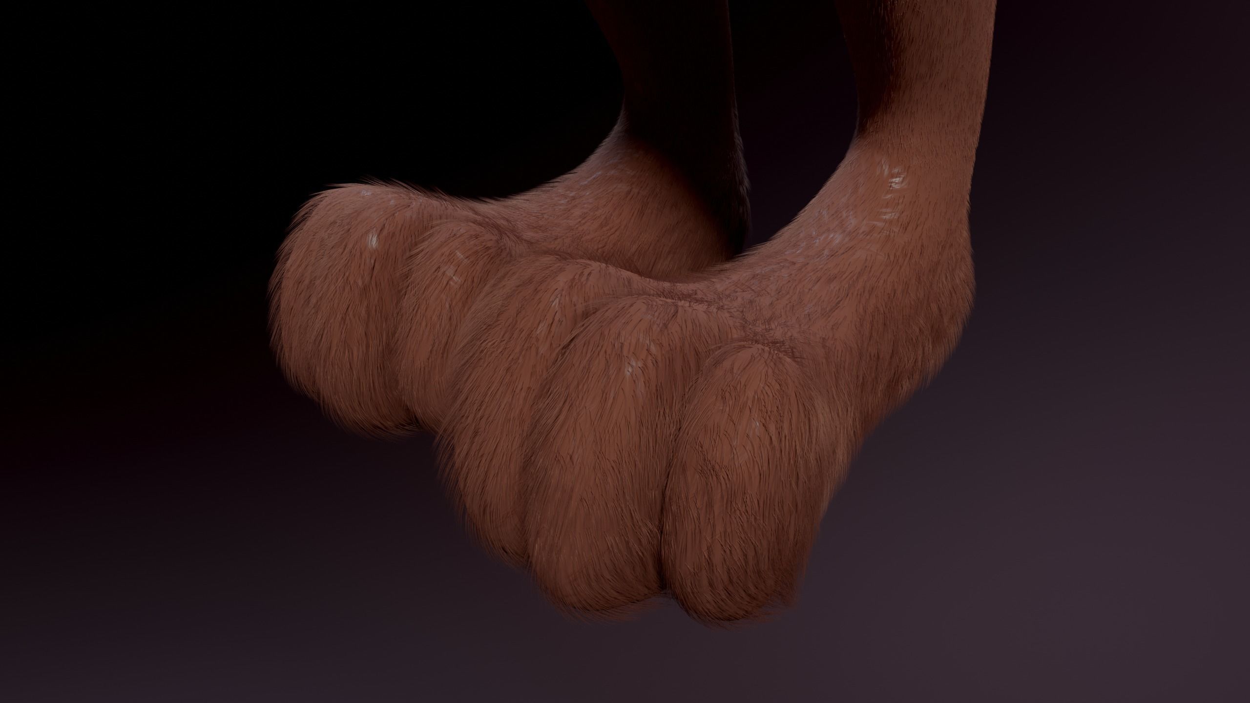 Agnes Anthro Fox 3D model_14