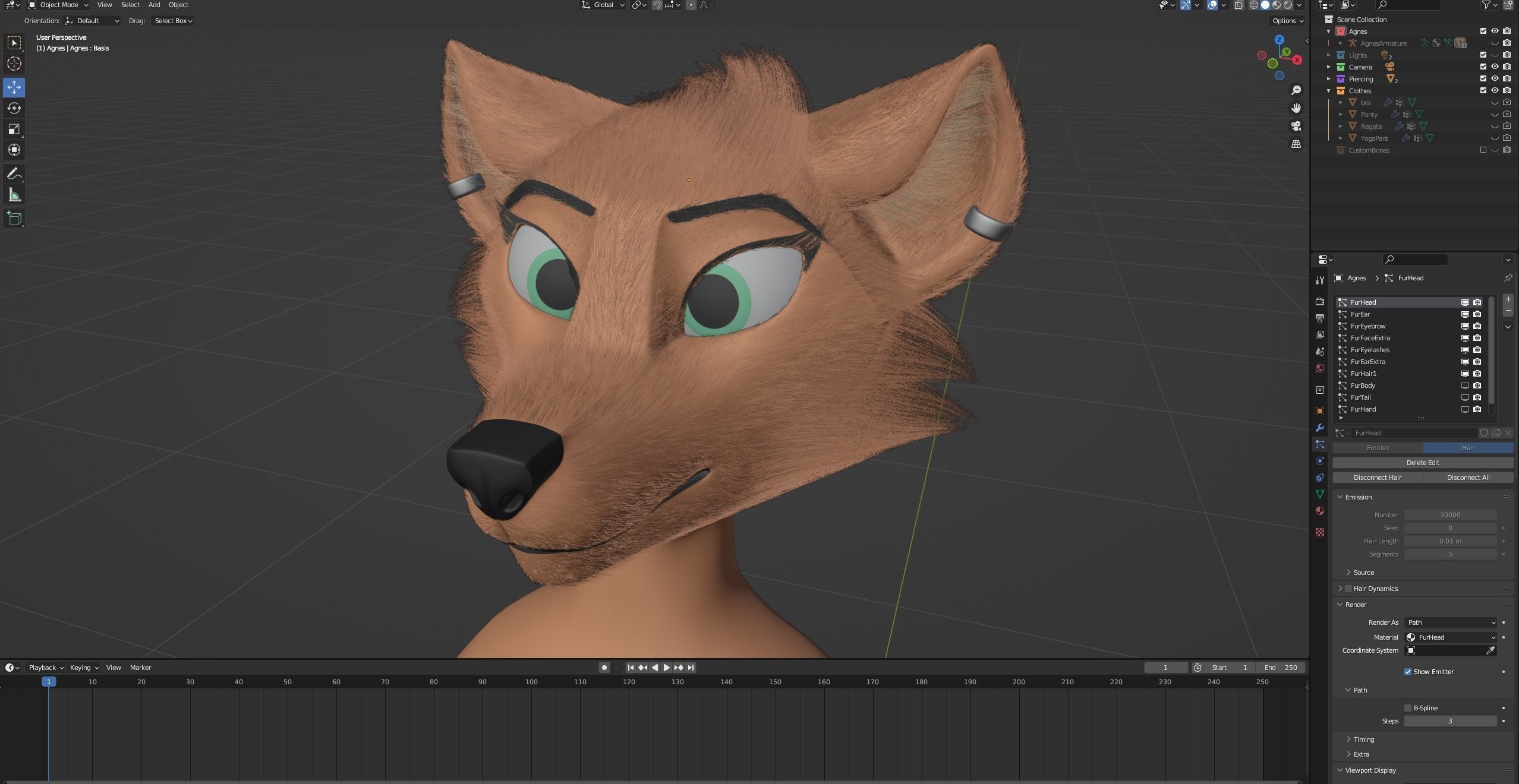 Agnes Anthro Fox 3D model_100