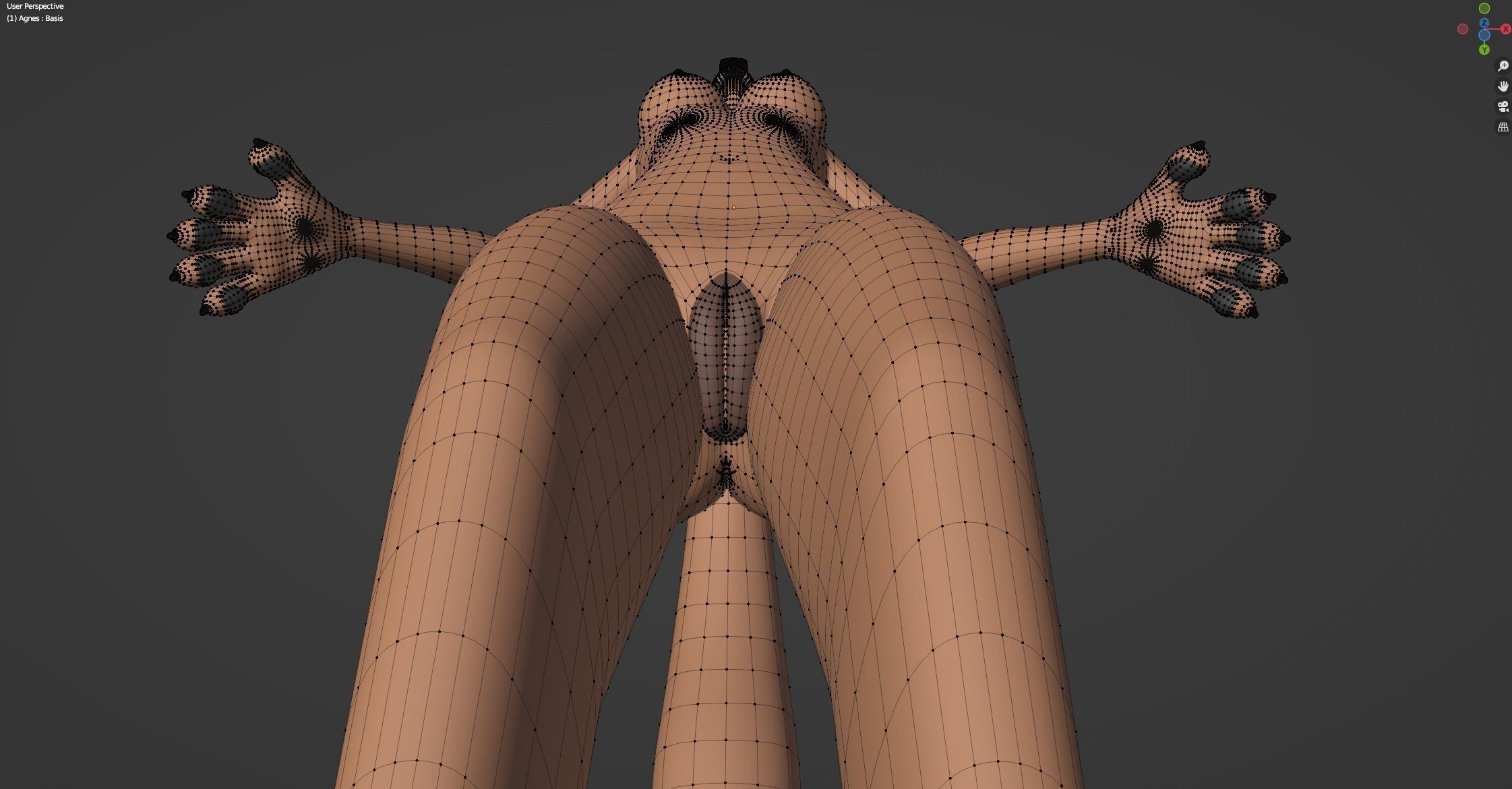 Agnes Anthro Fox 3D model_80