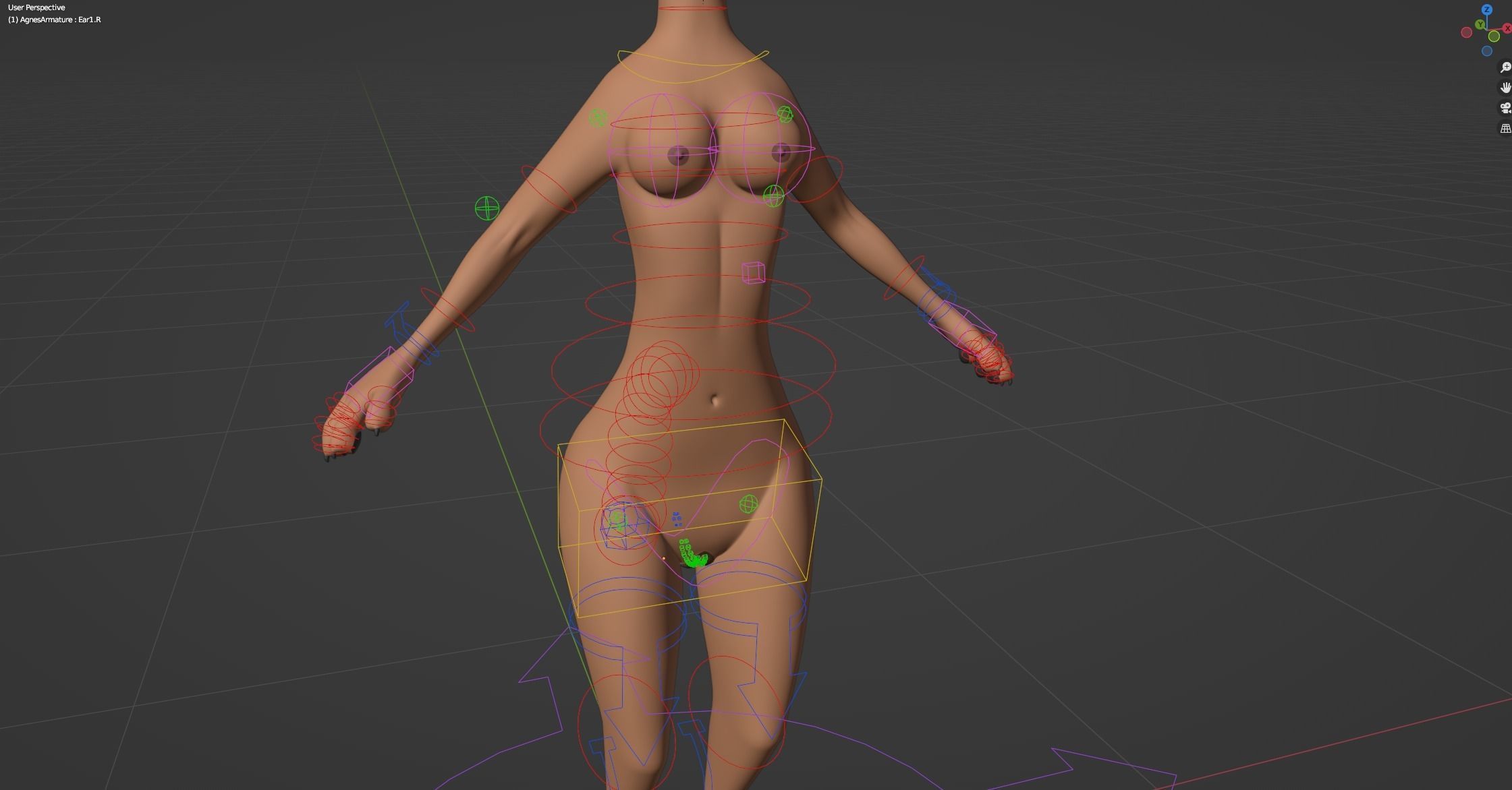 Agnes Anthro Fox 3D model_45