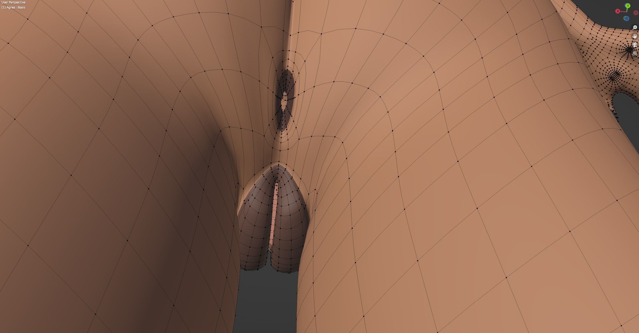 Agnes Anthro Fox 3D model_74