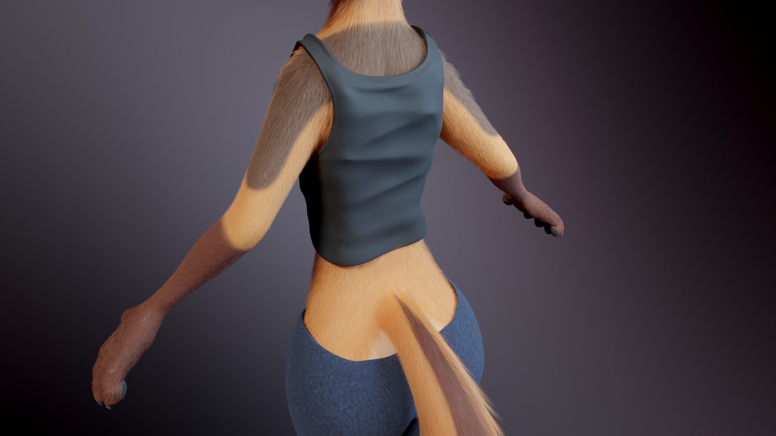 Agnes Anthro Fox 3D model_31