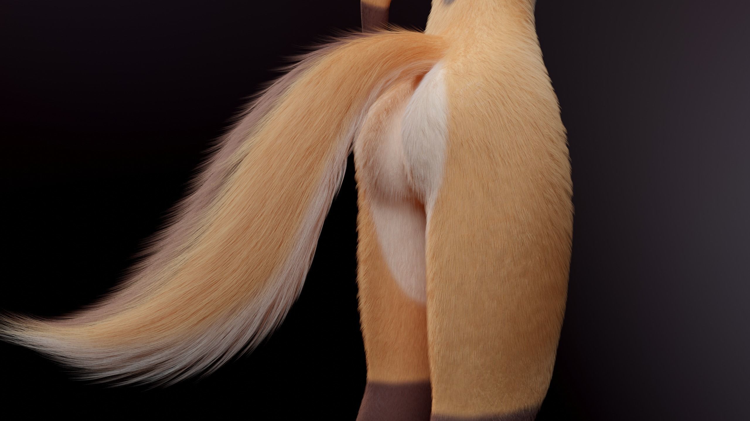 Agnes Anthro Fox 3D model_11