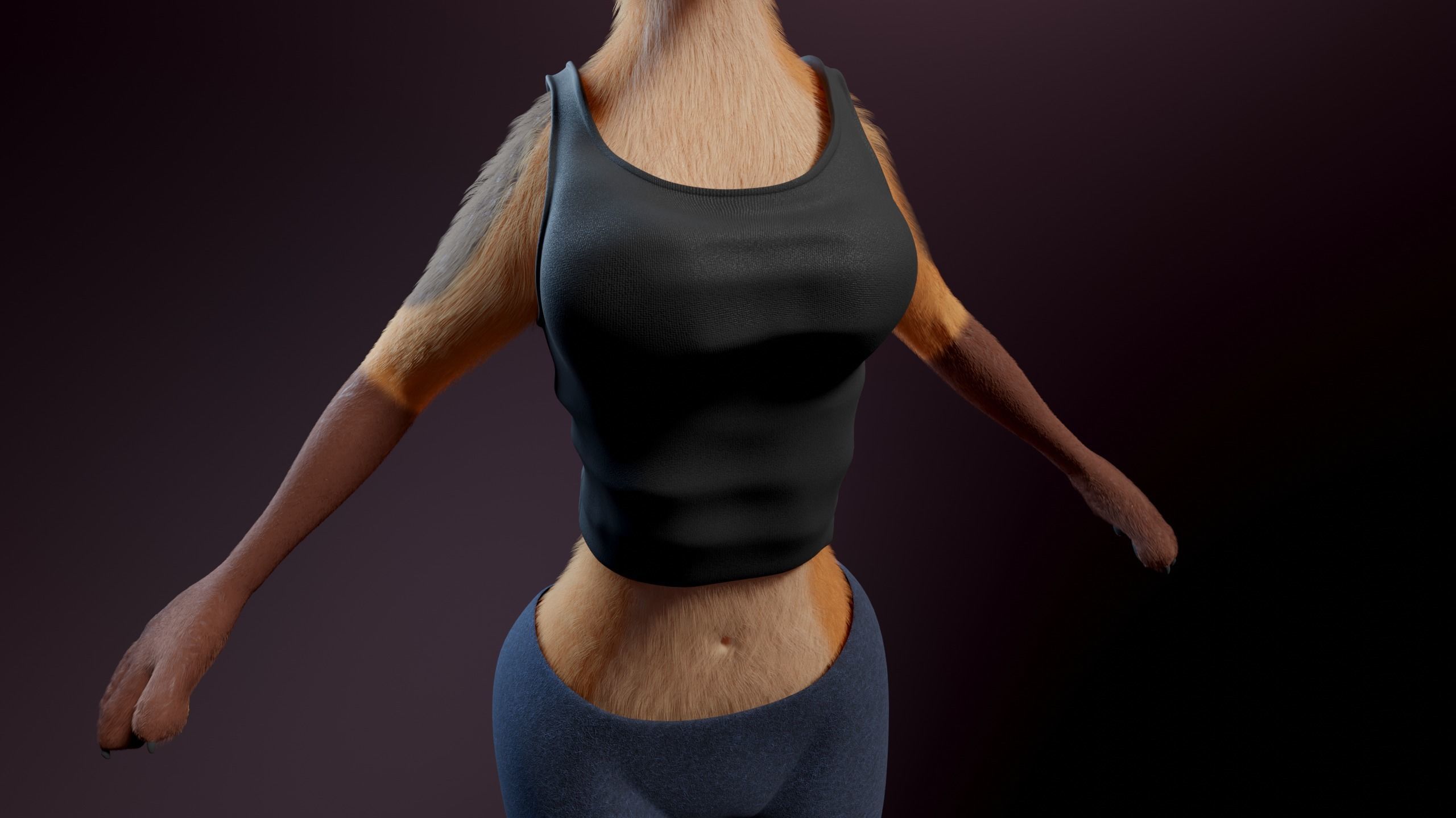 Agnes Anthro Fox 3D model_30