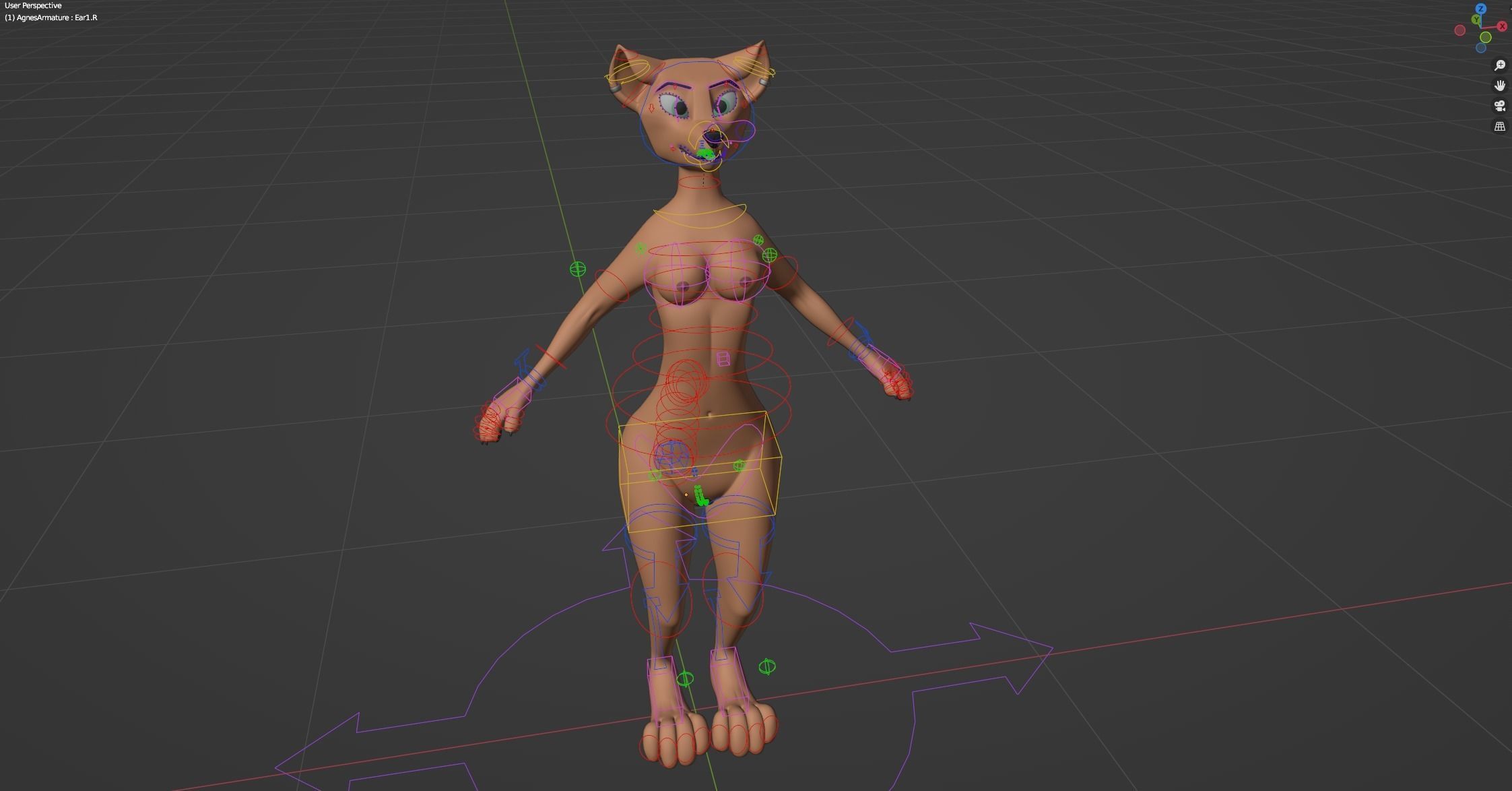 Agnes Anthro Fox 3D model_44
