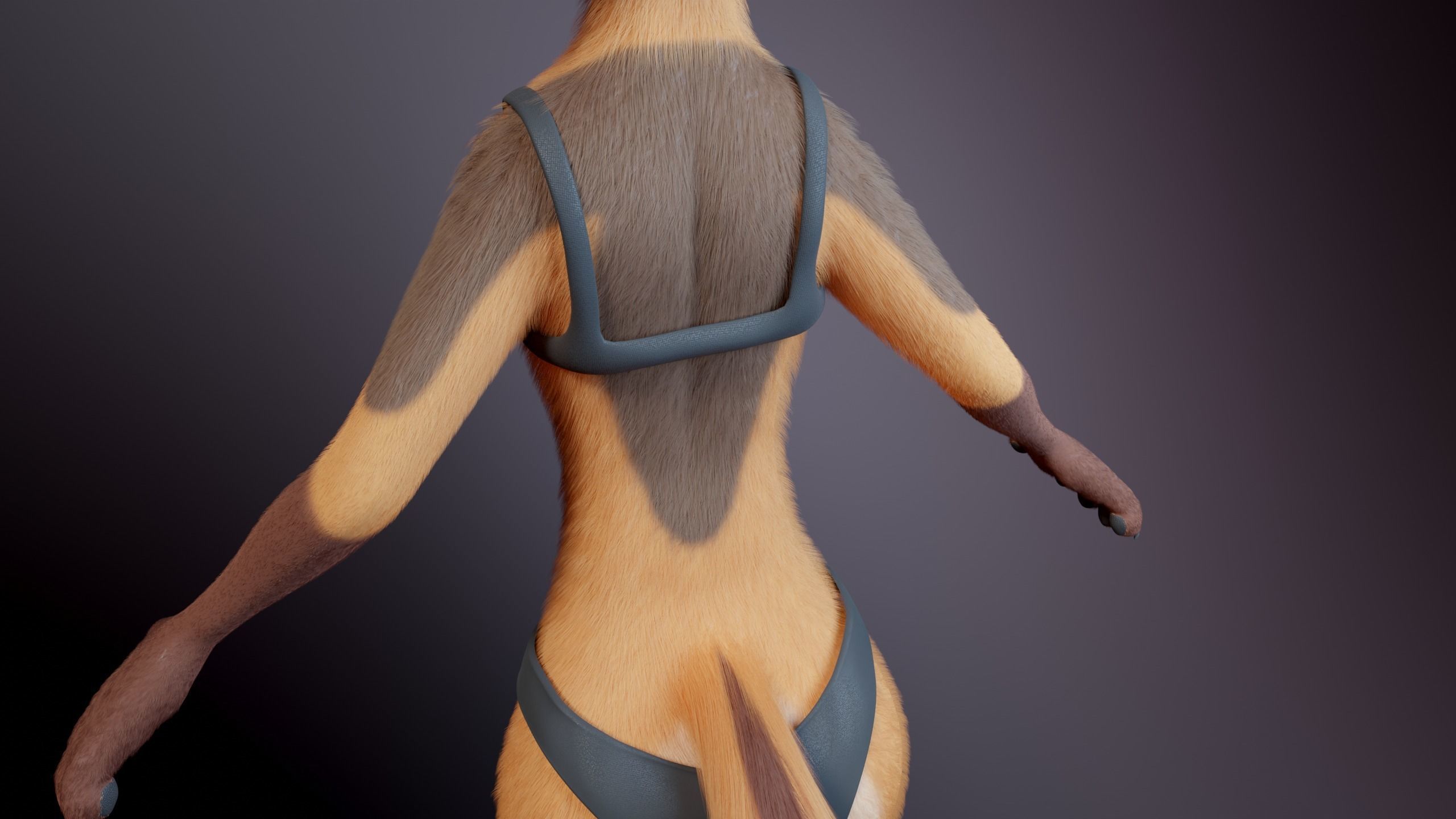 Agnes Anthro Fox 3D model_27