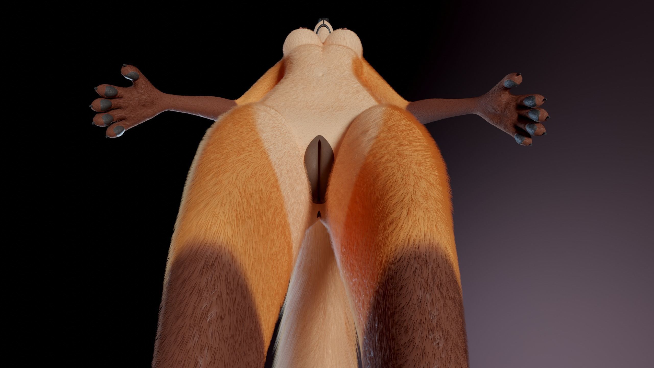 Agnes Anthro Fox 3D model_16