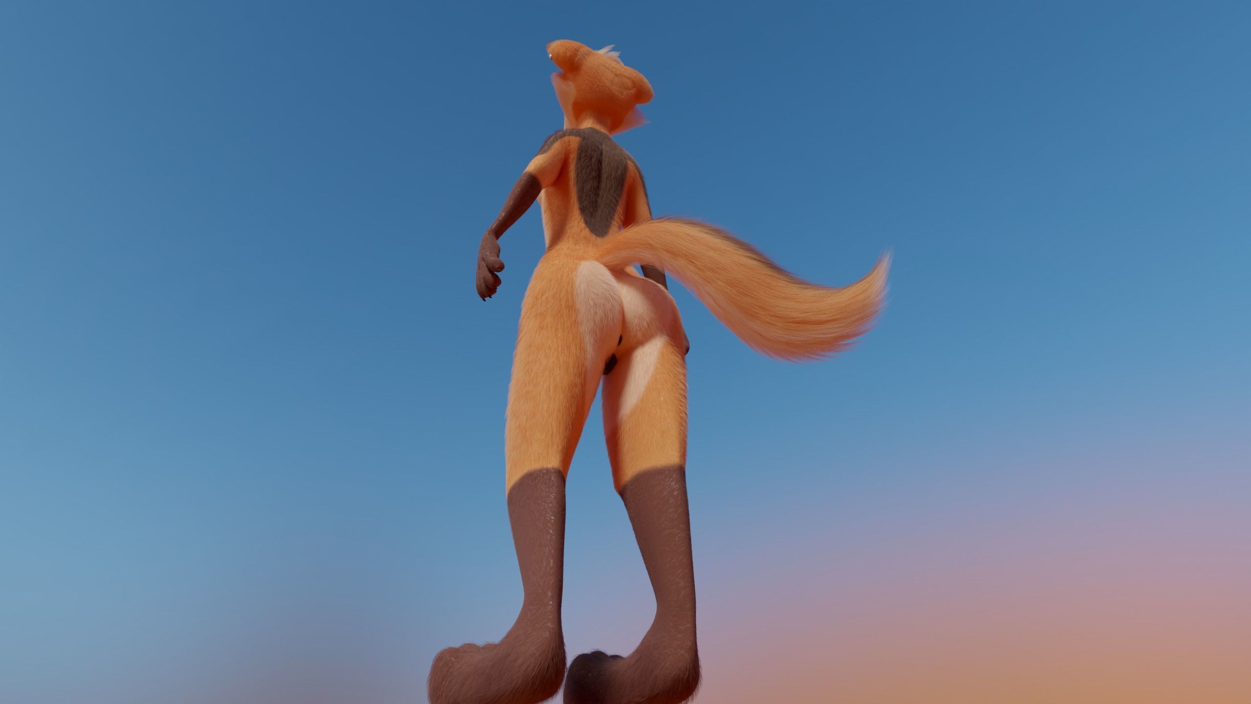 Agnes Anthro Fox 3D model_22
