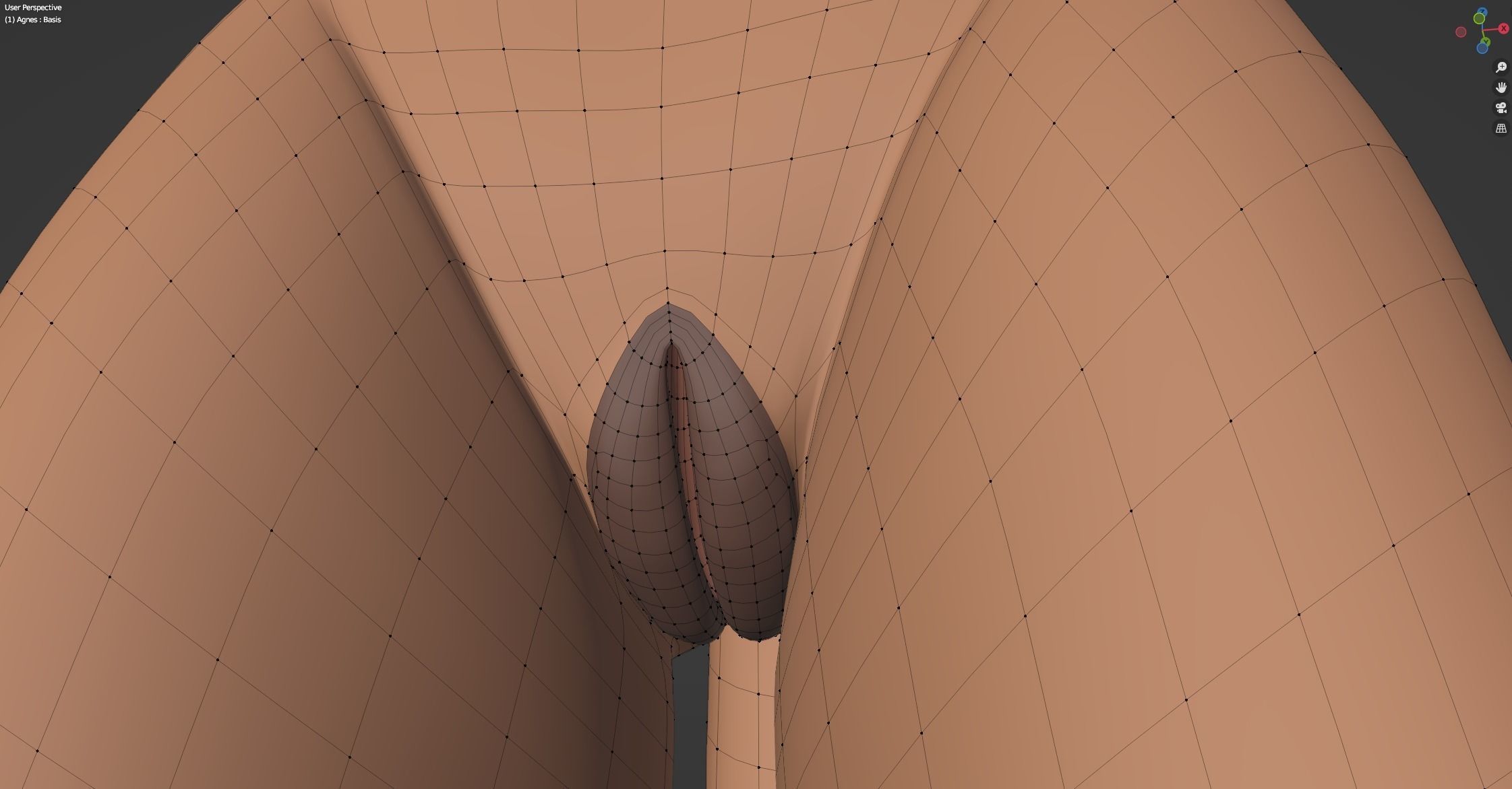 Agnes Anthro Fox 3D model_75