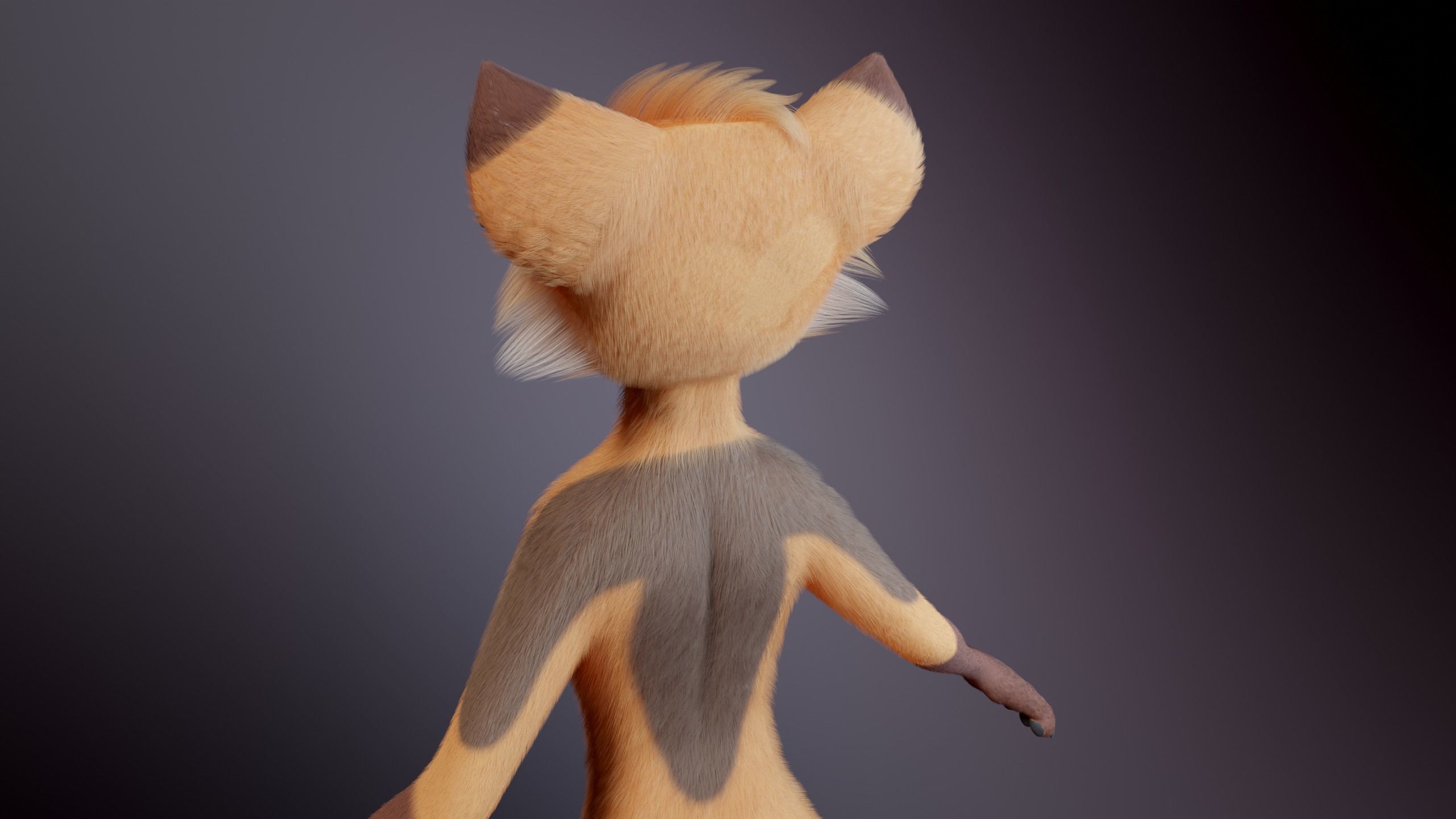 Agnes Anthro Fox 3D model_6