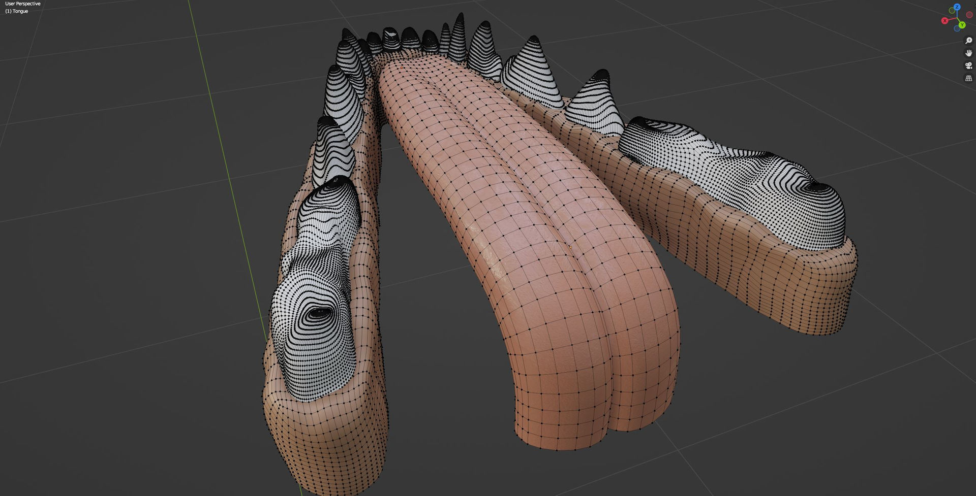 Agnes Anthro Fox 3D model_94