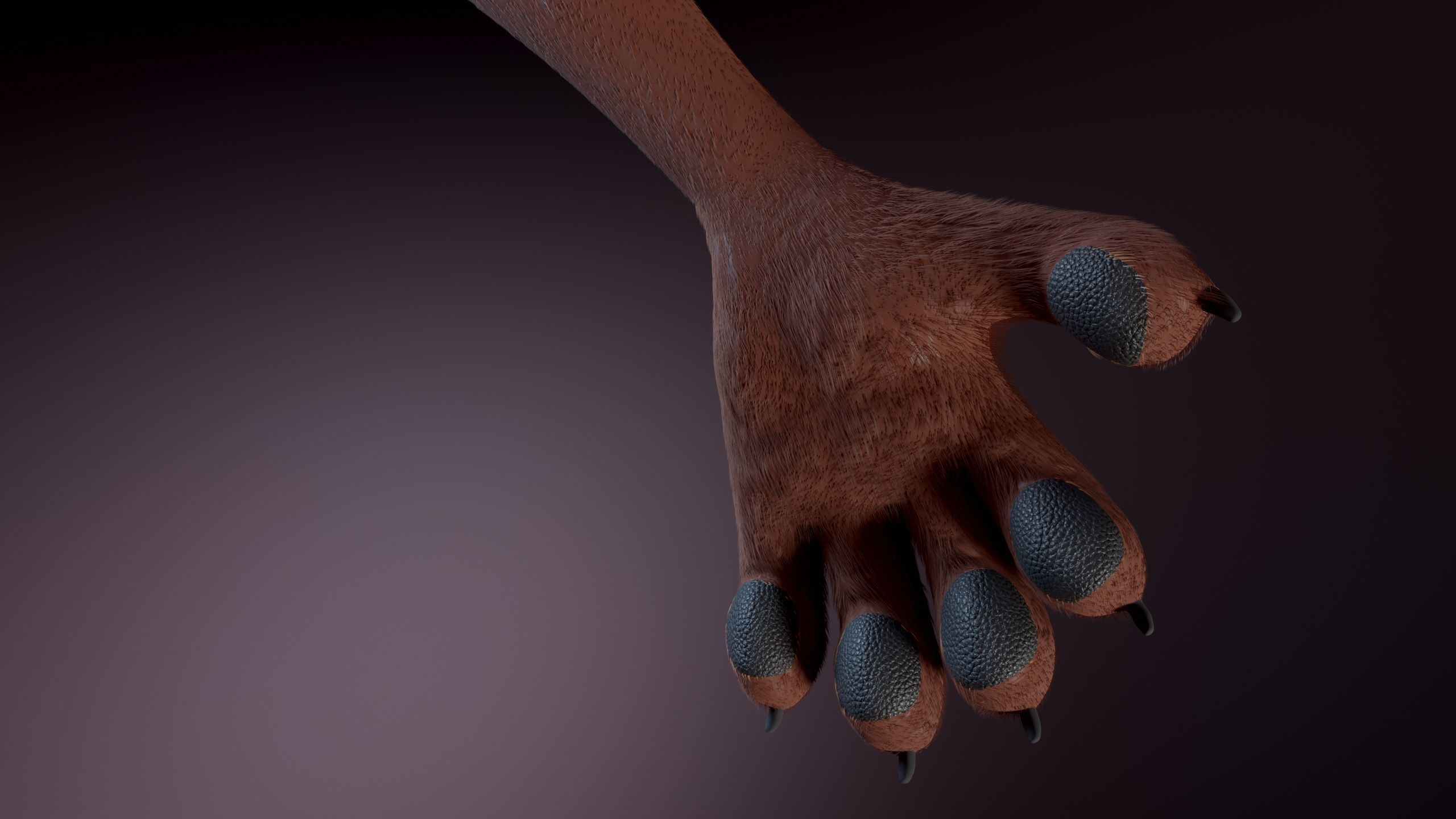 Agnes Anthro Fox 3D model_13