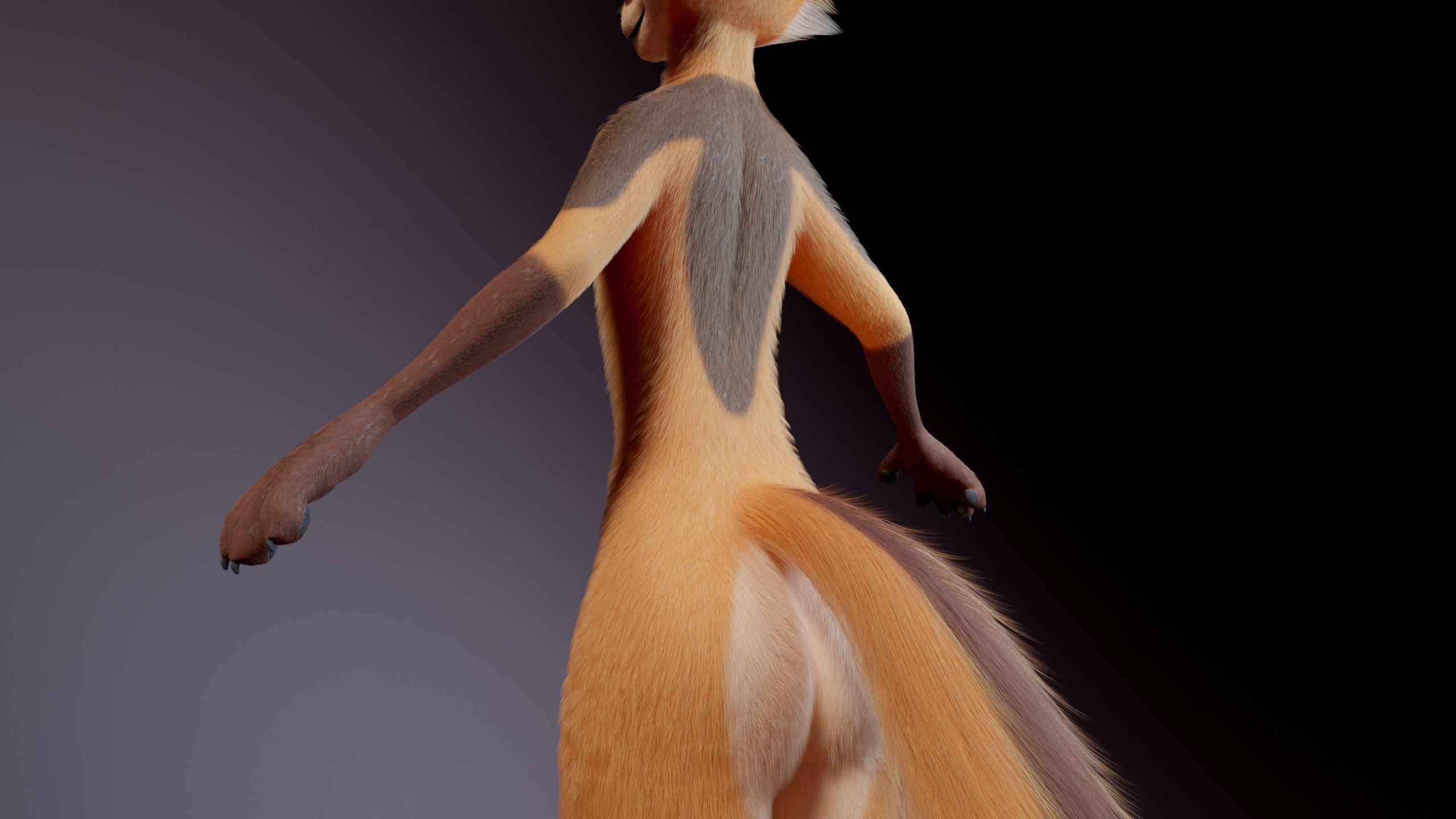 Agnes Anthro Fox 3D model_8