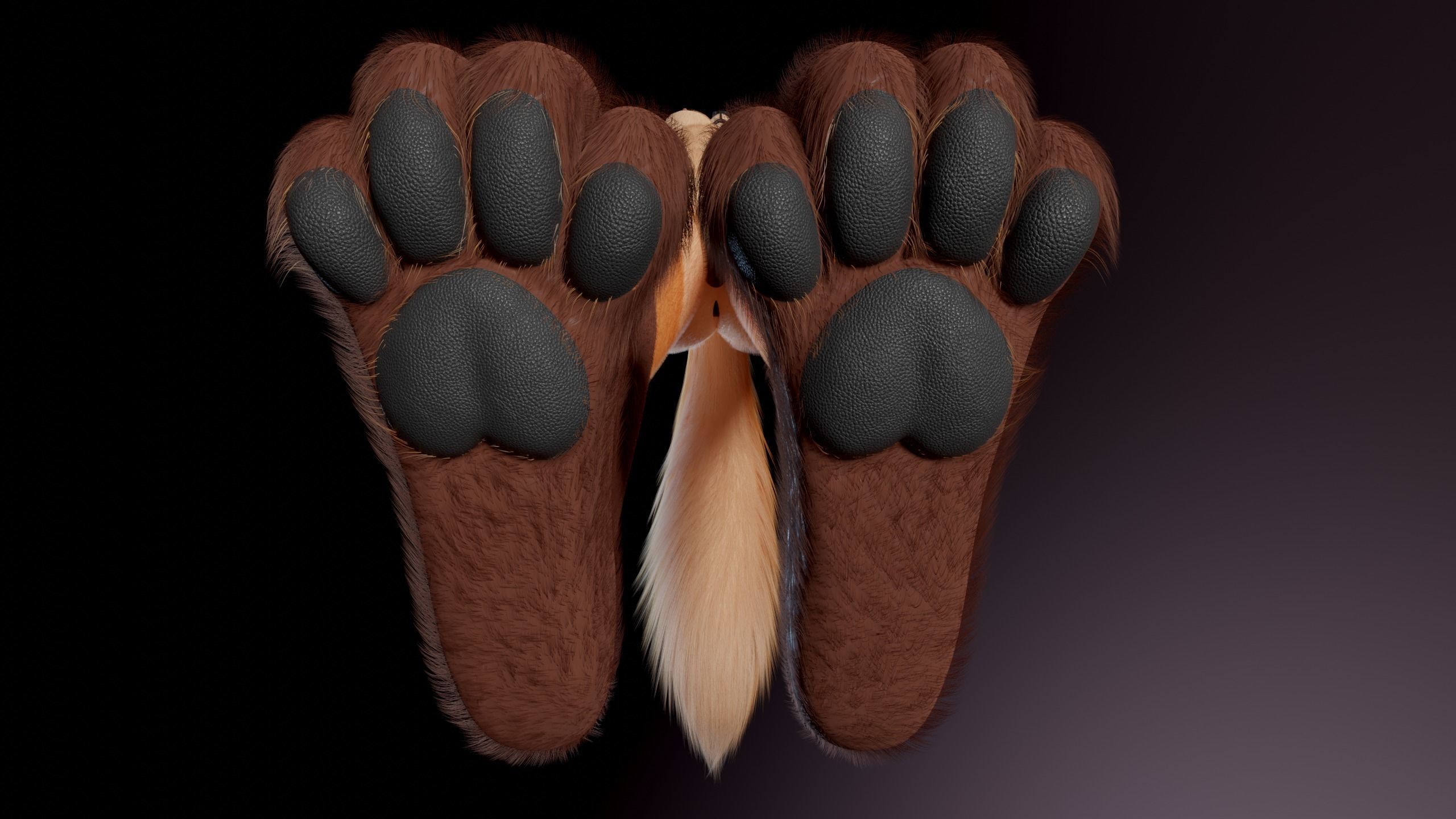 Agnes Anthro Fox 3D model_15