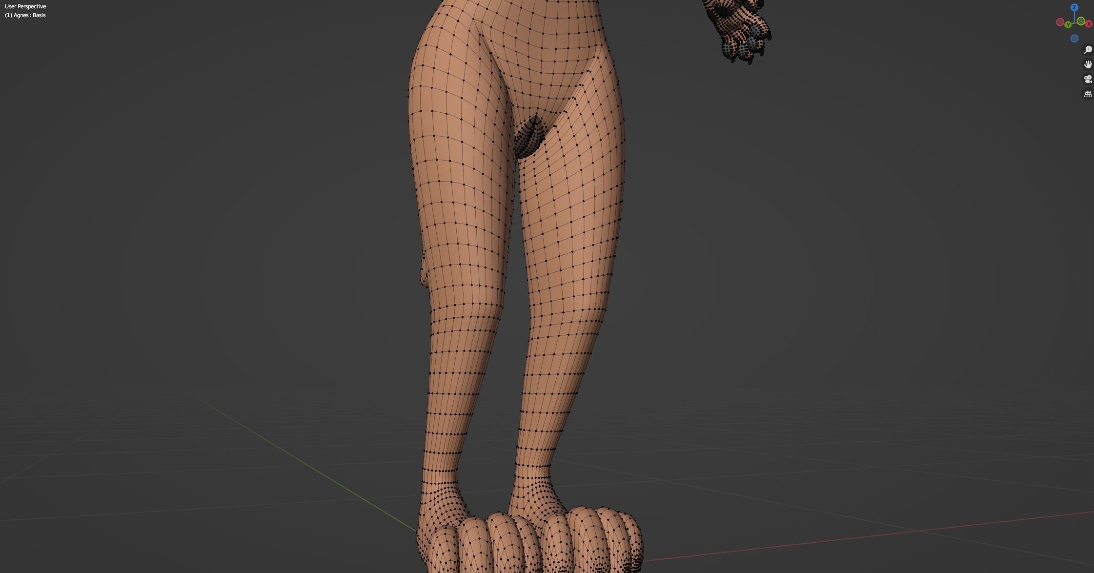 Agnes Anthro Fox 3D model_71