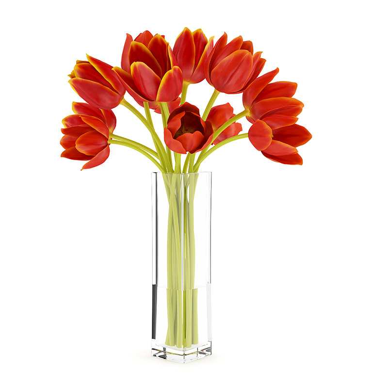 Orange Tulips in Vase 3D model_2