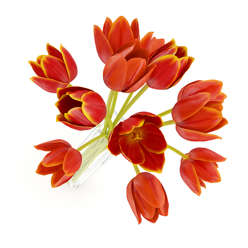 Orange Tulips in Vase 3D model_3