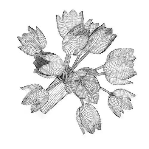 Orange Tulips in Vase