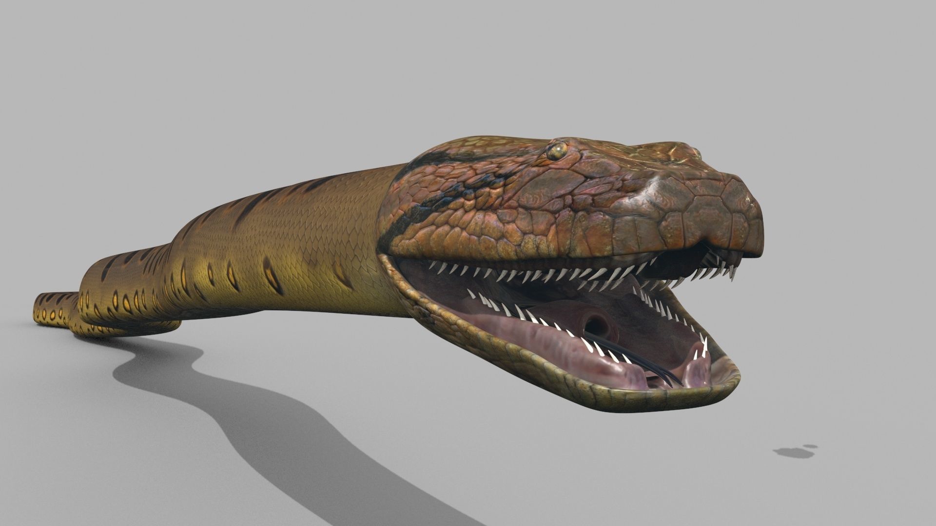 Monstre Anacond 8K - 3d animated model 3D model_5