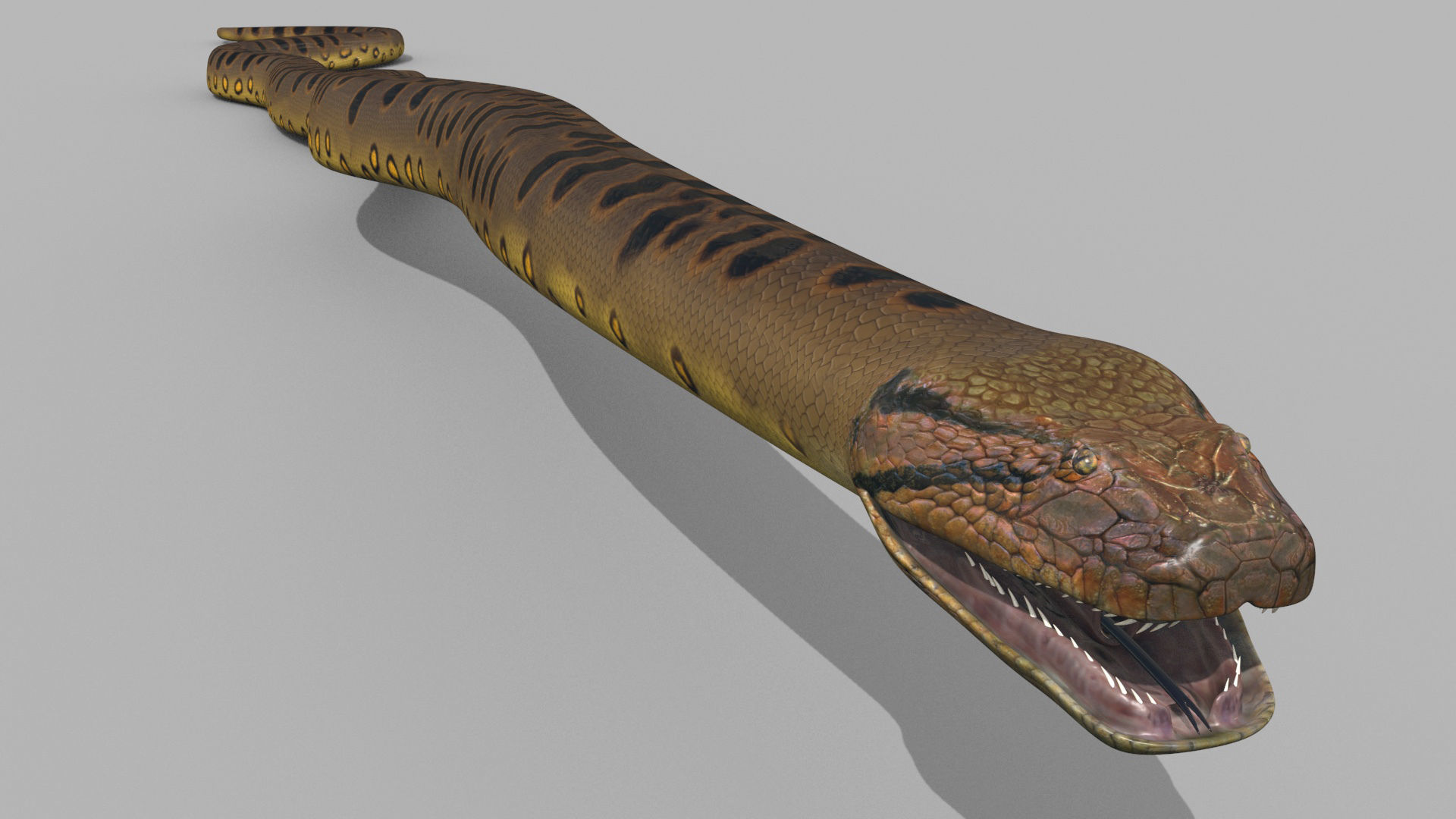 Monstre Anacond 8K - 3d animated model 3D model_7