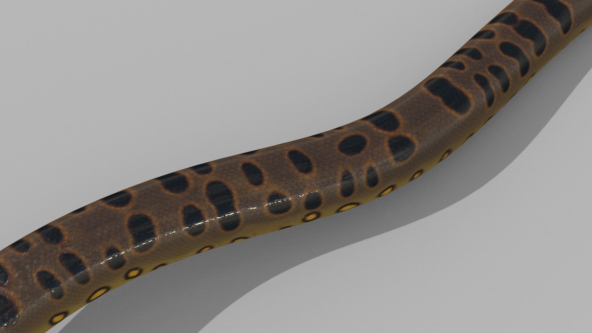 Monstre Anacond 8K - 3d animated model 3D model_10