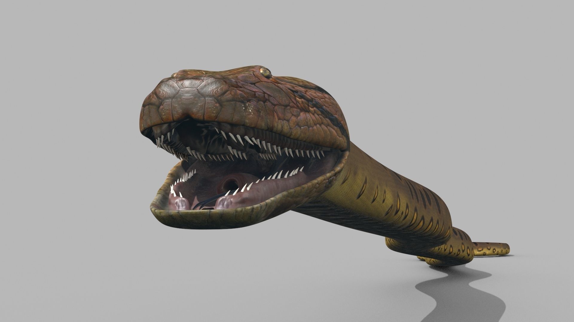 Monstre Anacond 8K - 3d animated model 3D model_6