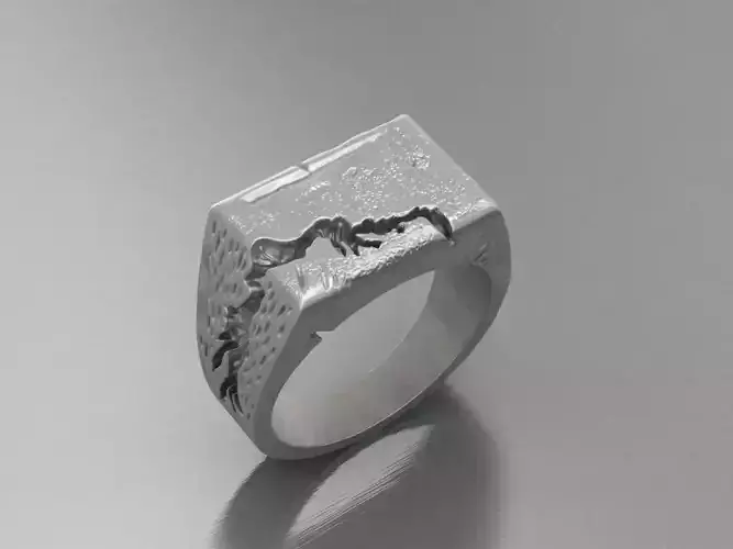 Fraction Ring 3D print model