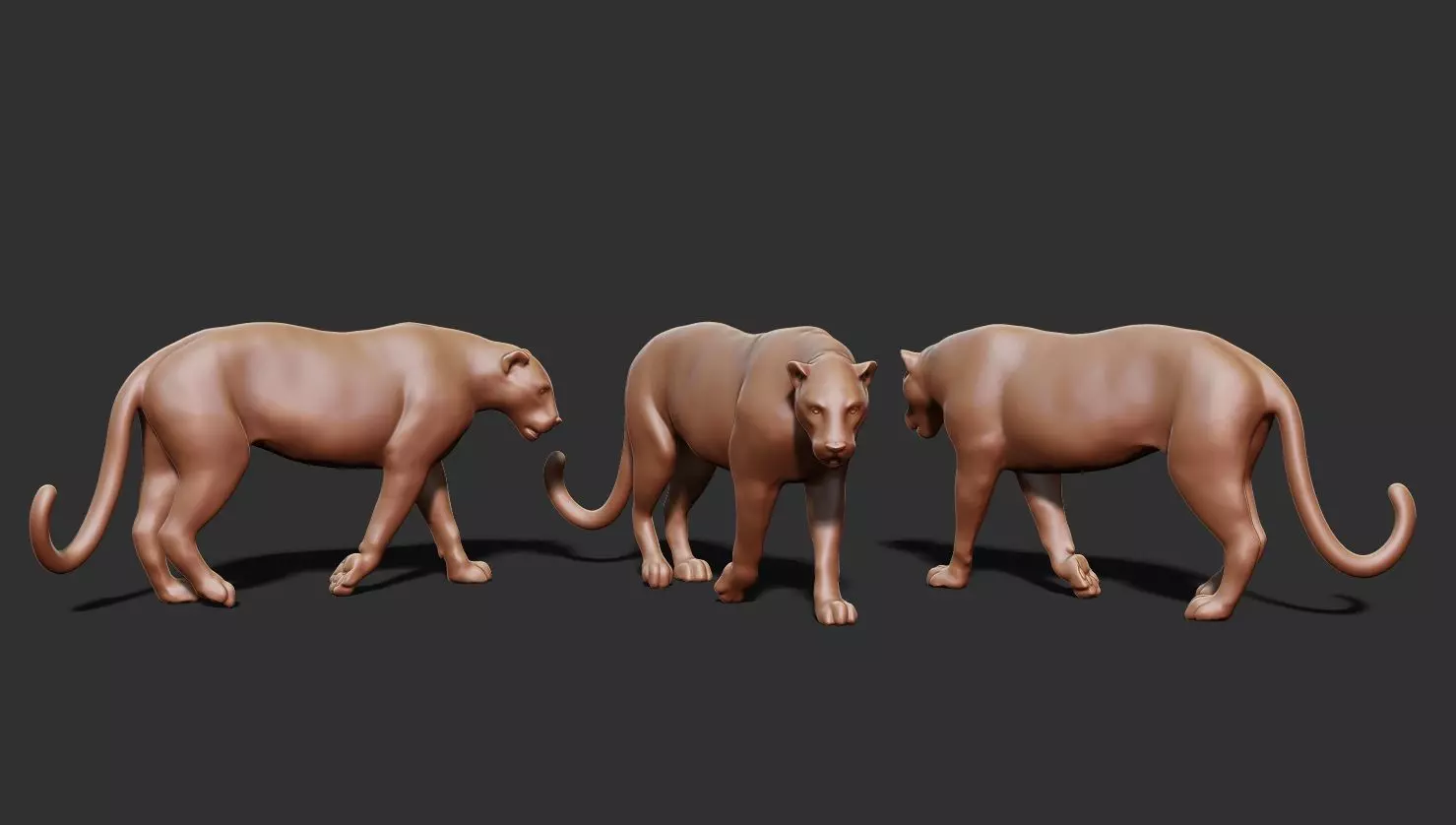 LEOPARD 3D print model