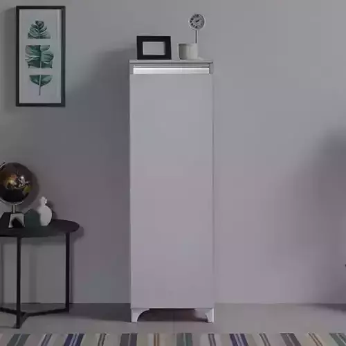 narrow entrance shoe rack