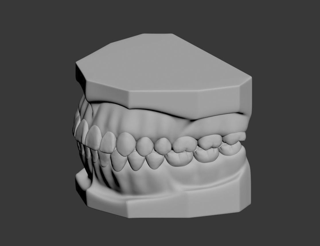 Dental Model 3D model_17