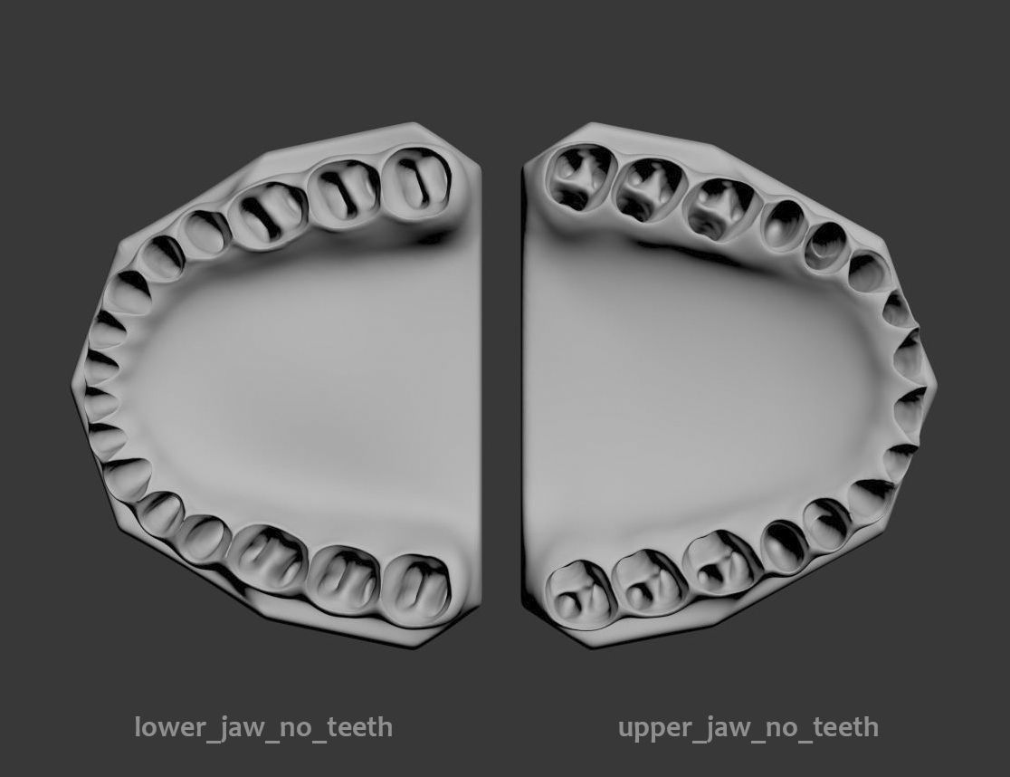 Dental Model 3D model_5