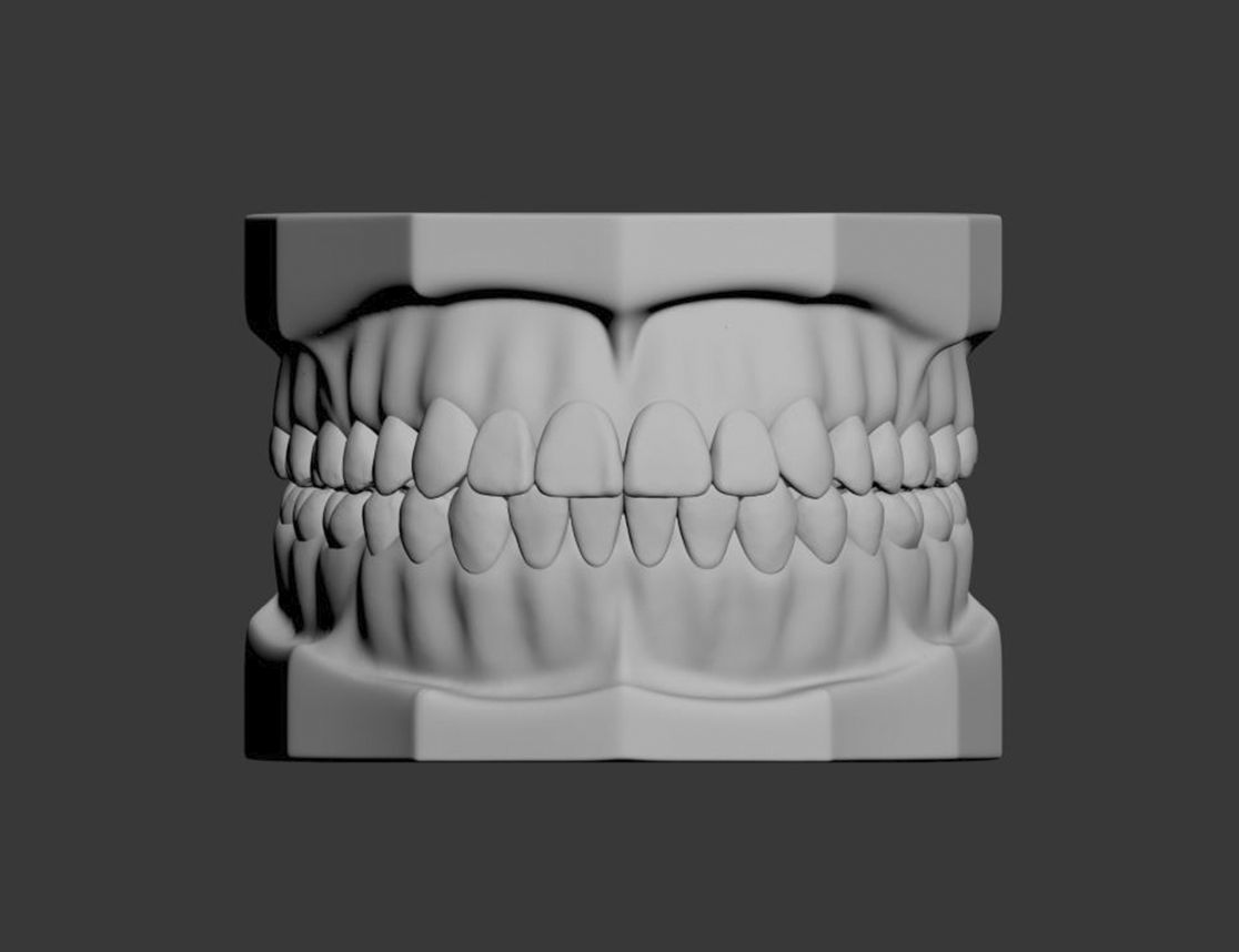 Dental Model 3D model_14