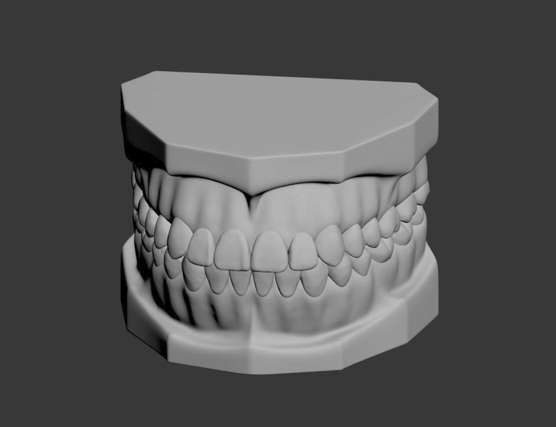 Dental Model 3D model_15