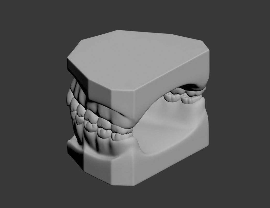 Dental Model 3D model_19