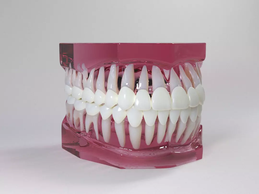 Dental Model 3D model_0