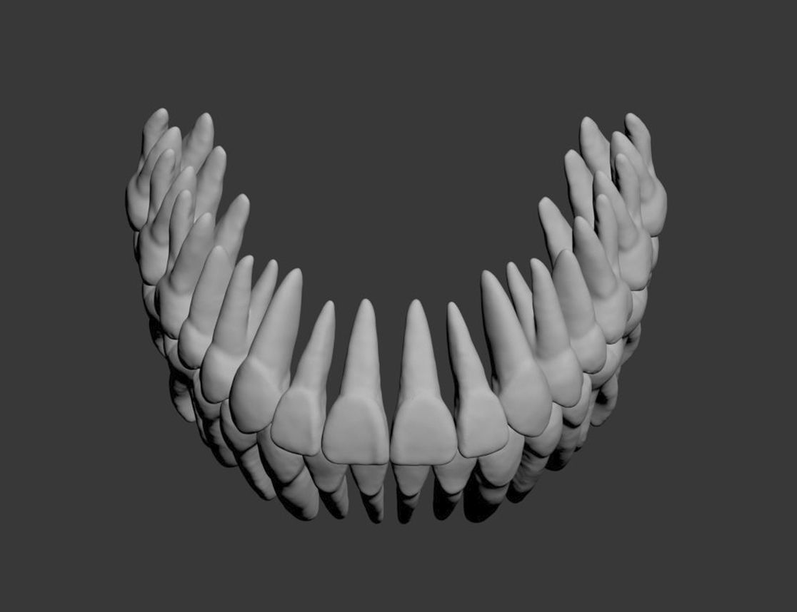 Dental Model 3D model_12
