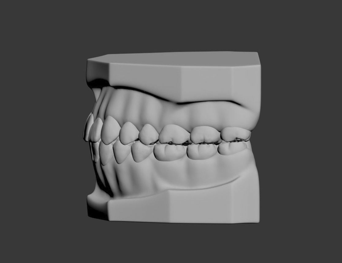 Dental Model 3D model_18