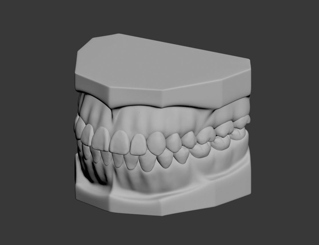 Dental Model 3D model_16