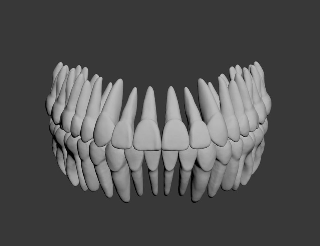 Dental Model 3D model_11