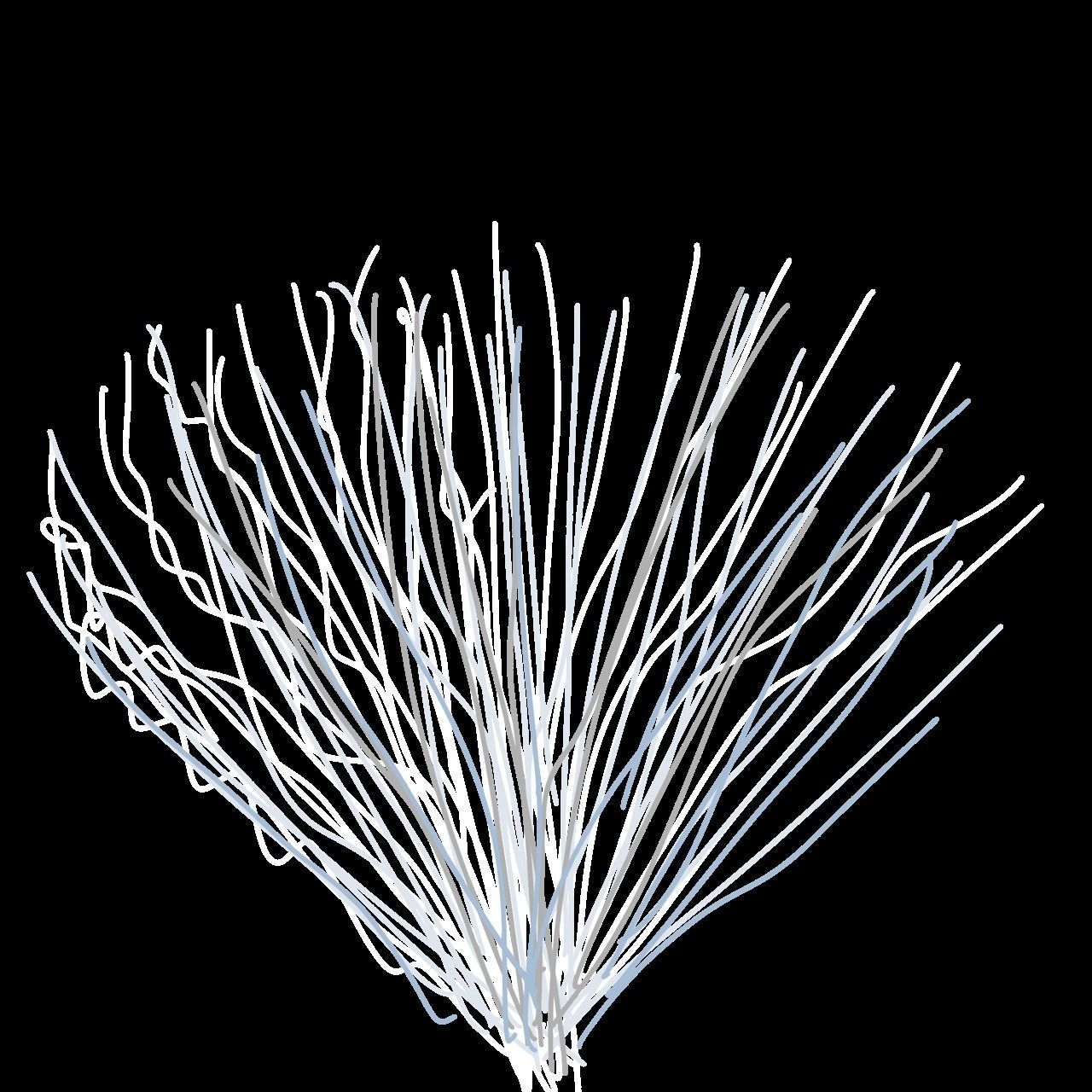 Blue Jay Bird 3D model_13