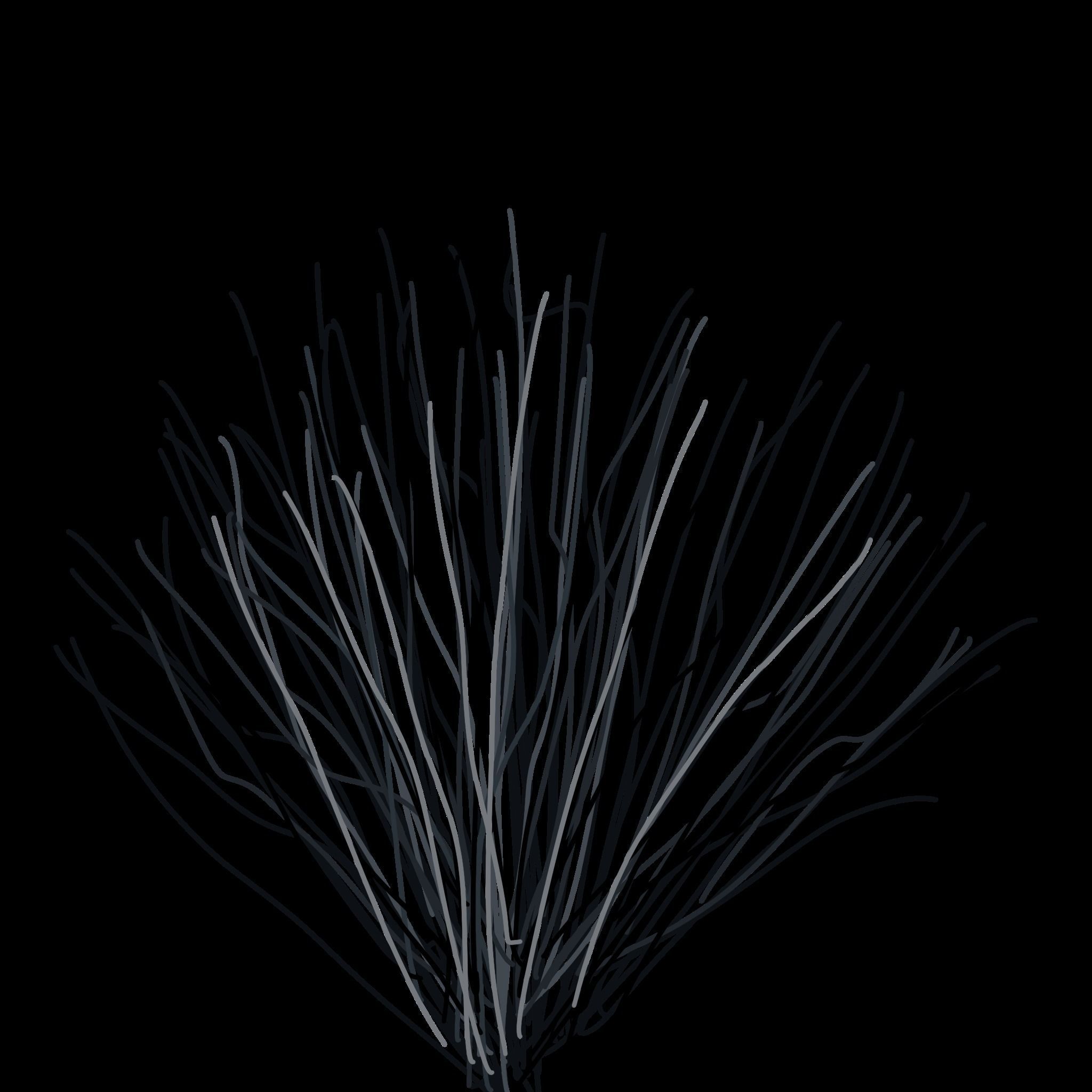 Blue Jay Bird 3D model_14