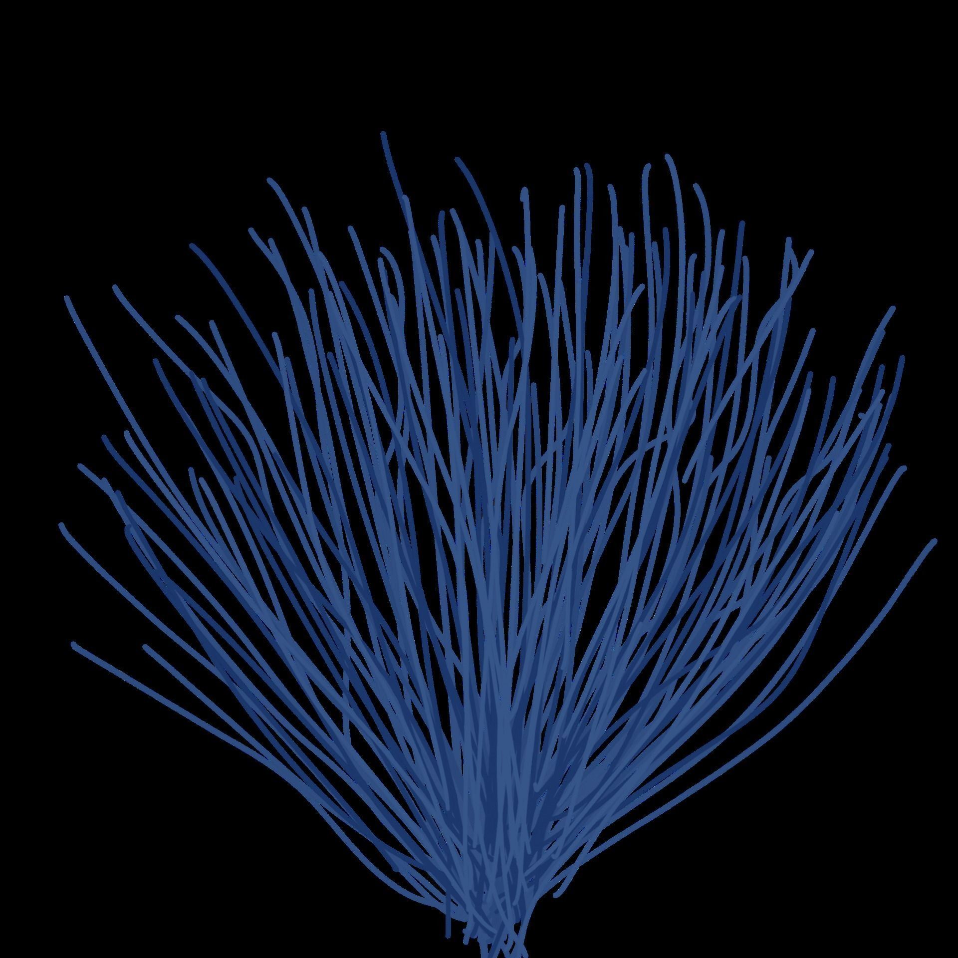 Blue Jay Bird 3D model_15