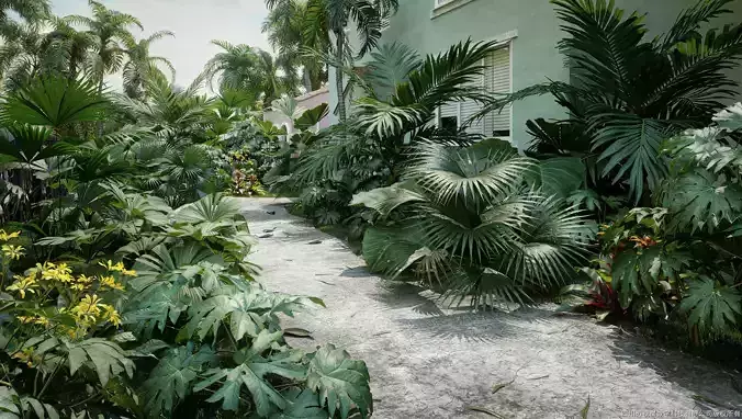 Maxtree Plant Models Vol 18 Low - Mesh