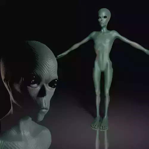 Realistic Alien 3D model