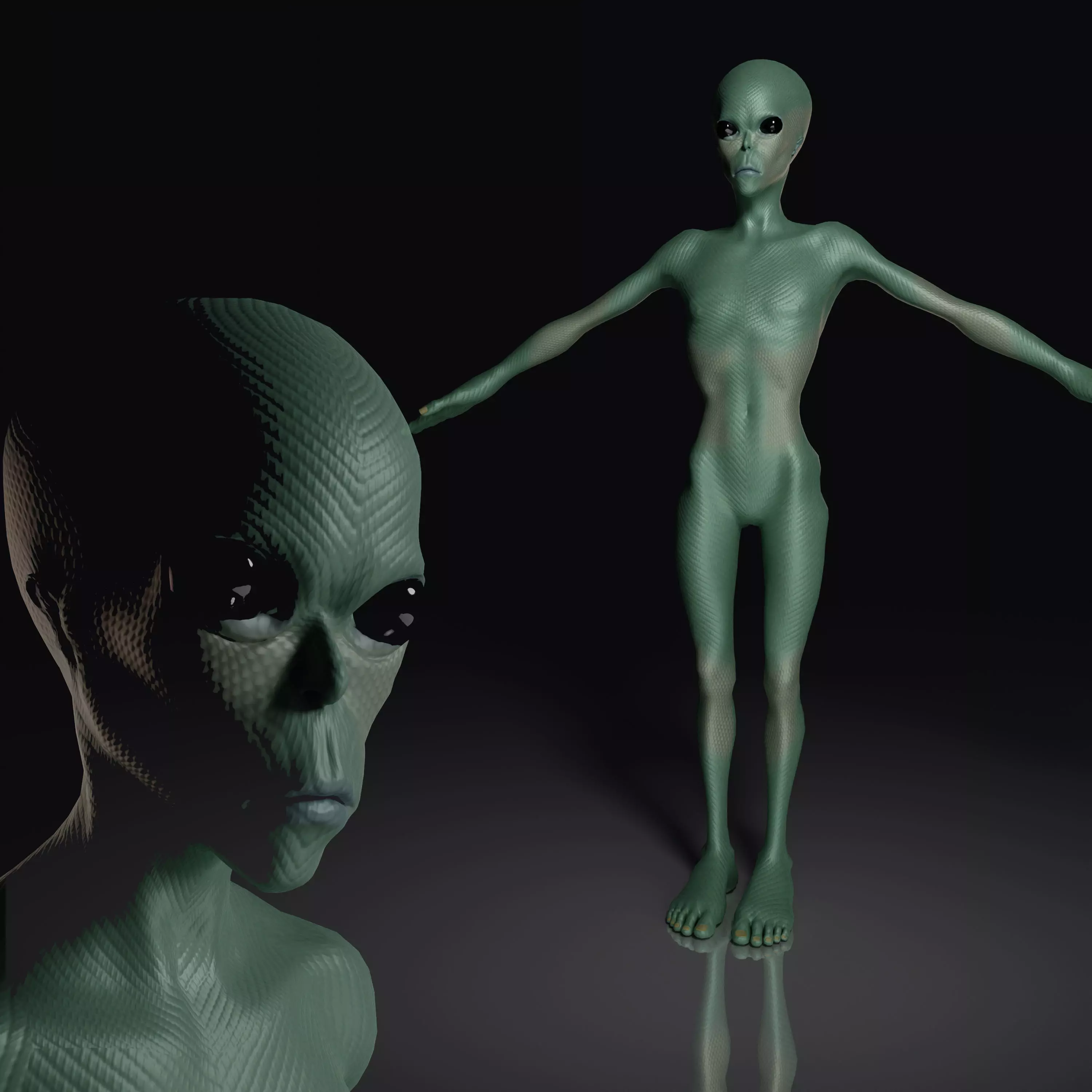 Realistic Alien 3D model_0