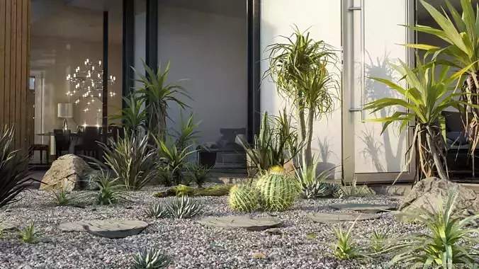 Maxtree Plant Models Vol 25 Low - Mesh