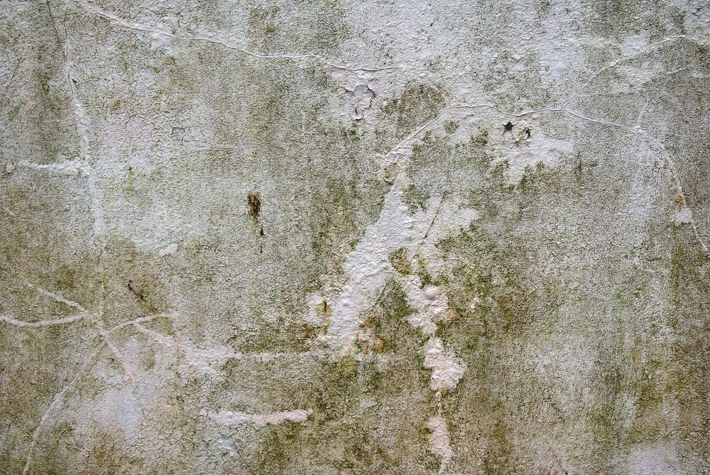 old house scene model-with lighting Free 3D model_2