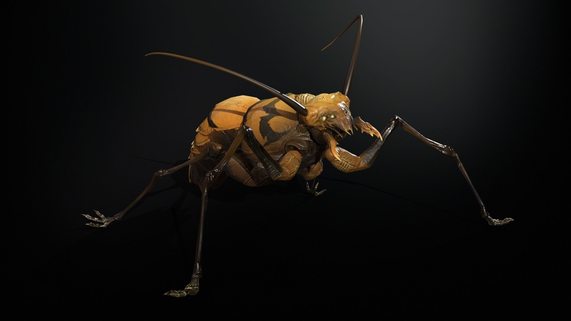 Cockroach1 Low-poly 3D model_17
